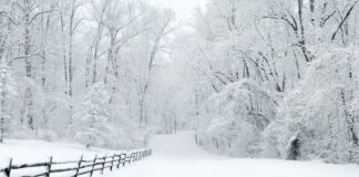 Winter in Chester County, PA, USA